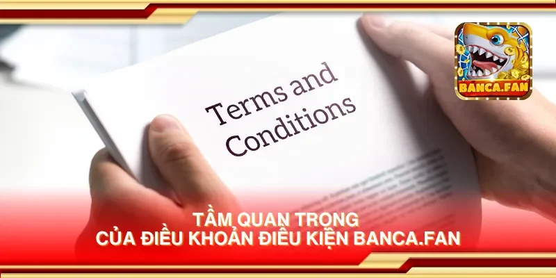 Tầm quan trọng của điều khoản điều kiện getembark.co